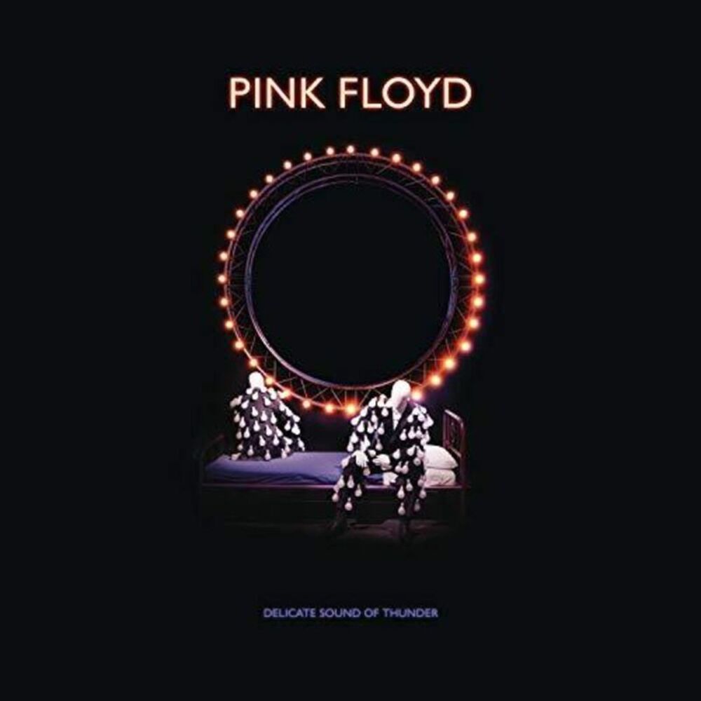 Pink Floyd - Delicate Sound Of Thunder Deluxe Box Set  CD
